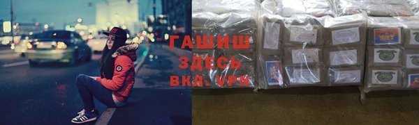 гидра Абаза
