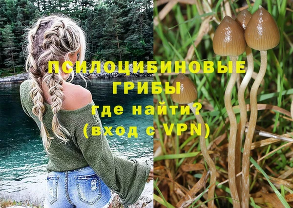 альфа пвп Пролетарск